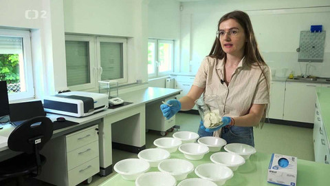 Kvarteto - Na startu