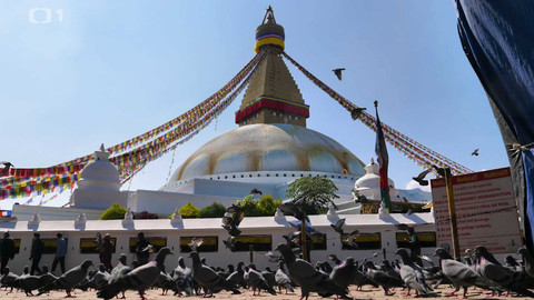 Objektiv - 11. května