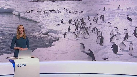 Horizont ČT24 - 17. února 2017