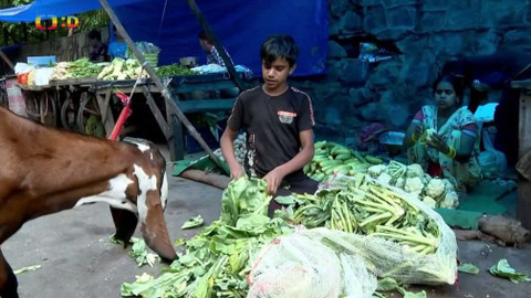 Zprávičky - 4. listopadu 2021