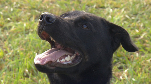 Chcete mě? - Chcete je?