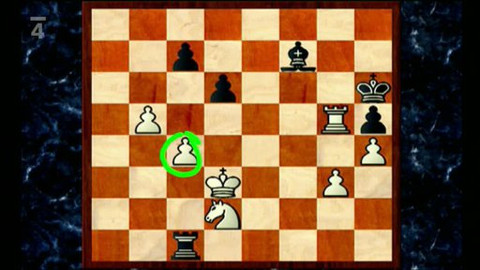 V šachu - 4. února 2011