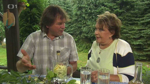 Hobby naší doby - Hobby naší doby - letní speciál