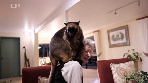 Objektiv - 3. listopadu 2019