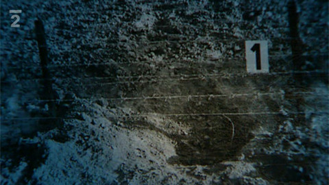 Příběhy železné opony - 38/39 Krtci pod ostnatými dráty