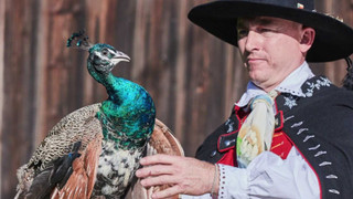 Co naše babičky uměly a na co my jsme zapomněli