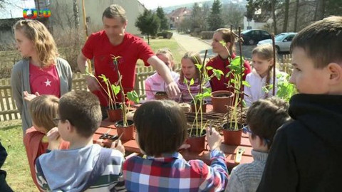 Šikulové - 26. dubna 2015