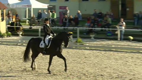 Jezdectví - Finále Českého drezurního poháru 2012