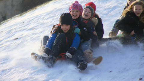 Z metropole - 21. ledna 2017