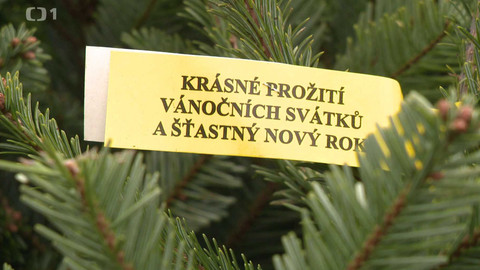 Týden v regionech (Brno) - 6. prosince