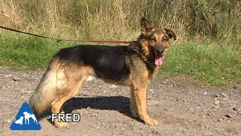 Chcete mě? - Chcete je?