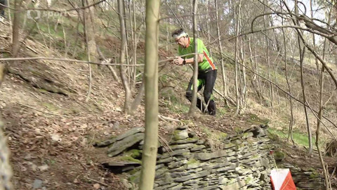 Sport v regionech - Grand Prix Silesia