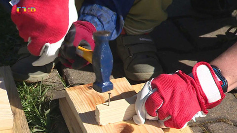 Zprávičky - 29. dubna 2024