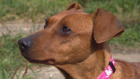 Chcete mě? - Chcete je?