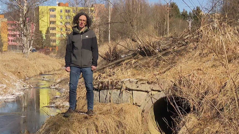 Nedej se! - Pestré toky