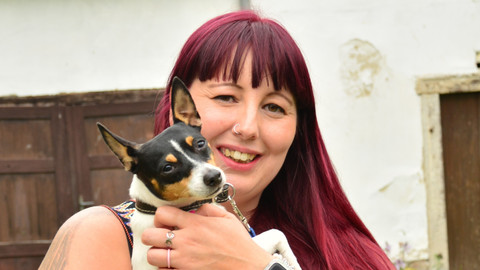 Kočka není pes - Návrat za minulými případy