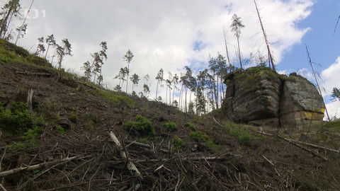 Reportéři ČT - 17. června 2024