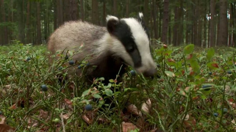 Novinky z přírody - Epizoda 30/53