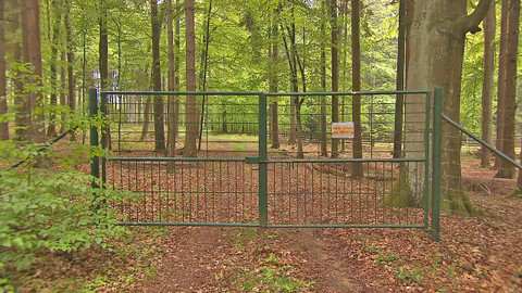 Nedej se! - Ploty proti lidem