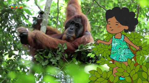 Velká kniha o zvířátkách - Epizoda 52/52