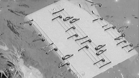 Písničky kolem nás - Písničky kolem nás