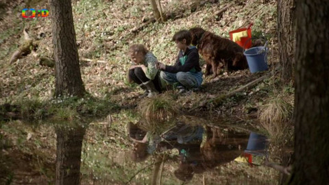 S Hubertem do lesa - Žabák z bažin