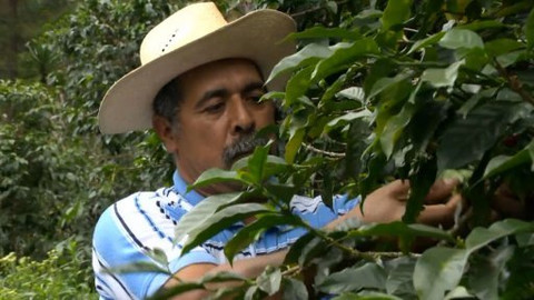 Češi na misi - Průvodce férového pijáka kávy