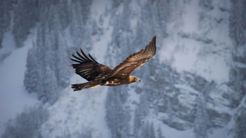 Planeta Země - 2/6 Hory