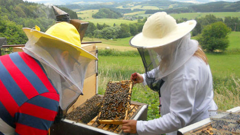 Toulavá kamera ochutnává Česko - 4/7 Praha a Královéhradecký kraj