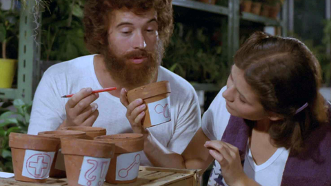 Létající Čestmír - 2/6 Šest květináčů