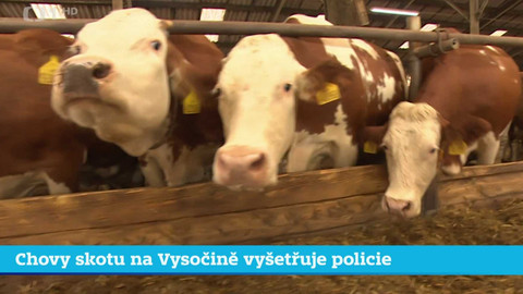 Události v regionech (jih a západ) - 27. ledna