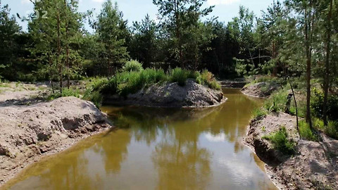 Nedej se! - Rekultivace biodiverzity