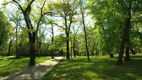 Nedej se! - Arnika – jak se ubránit úřadům