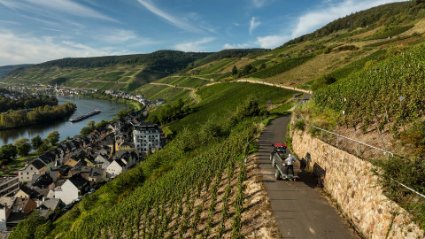 Vinorodé břehy - 5/7 Vinorodé břehy Mosely II