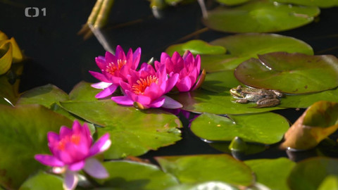 Polopatě - 3. září 2023