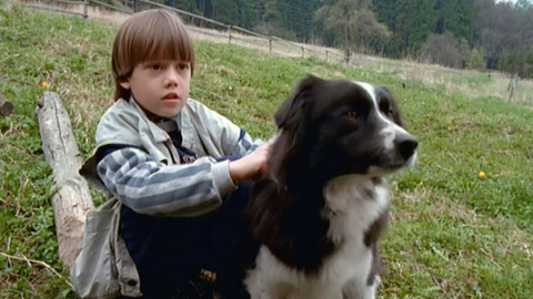 Ranč U Zelené sedmy - 5/21 Ranč U Zelené sedmy