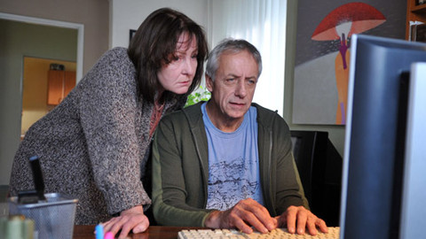 Okno do hřbitova - Pavouček