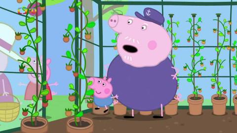 Prasátko Peppa - Skleník dědy Prasátka