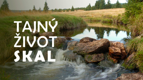 Tajný život skal