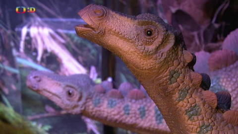 Tamtam - 30. května 2020