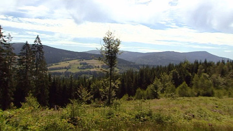 Reportéři ČT - 1. prosince 2014