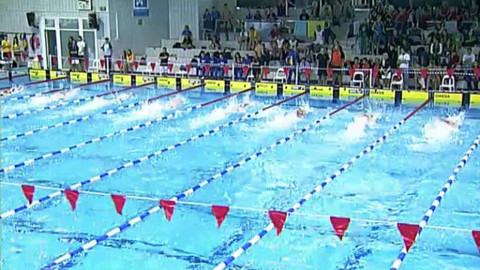 Plavání - Plzeňské sprinty 2012