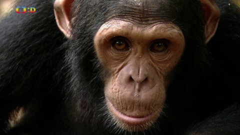 Moje zvířecí rodinka - 10. června 2020