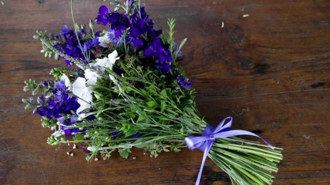 Nedej se! - Kde ty české kytky jsou?