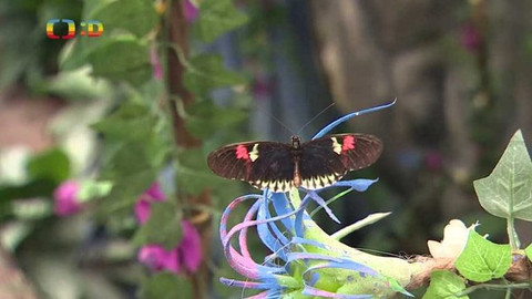 Zprávičky - 28. srpna 2021