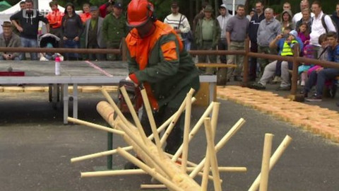 Sport v regionech - M ČR v práci s motorovou pilou, Skelná Huť