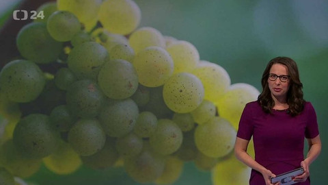 Horizont ČT24 - 31. října 2017