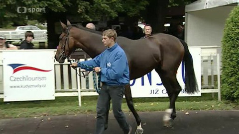 Turf - 16. října 2012