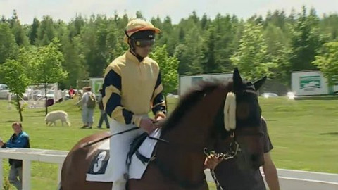 Turf - 4. června 2014