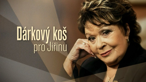 Dárkový koš pro Jiřinu